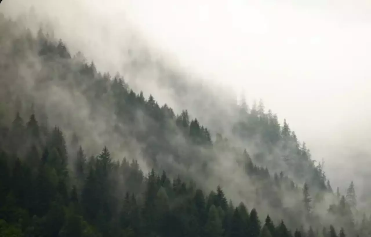 Туманы прогнозируют на большей части Казахстана