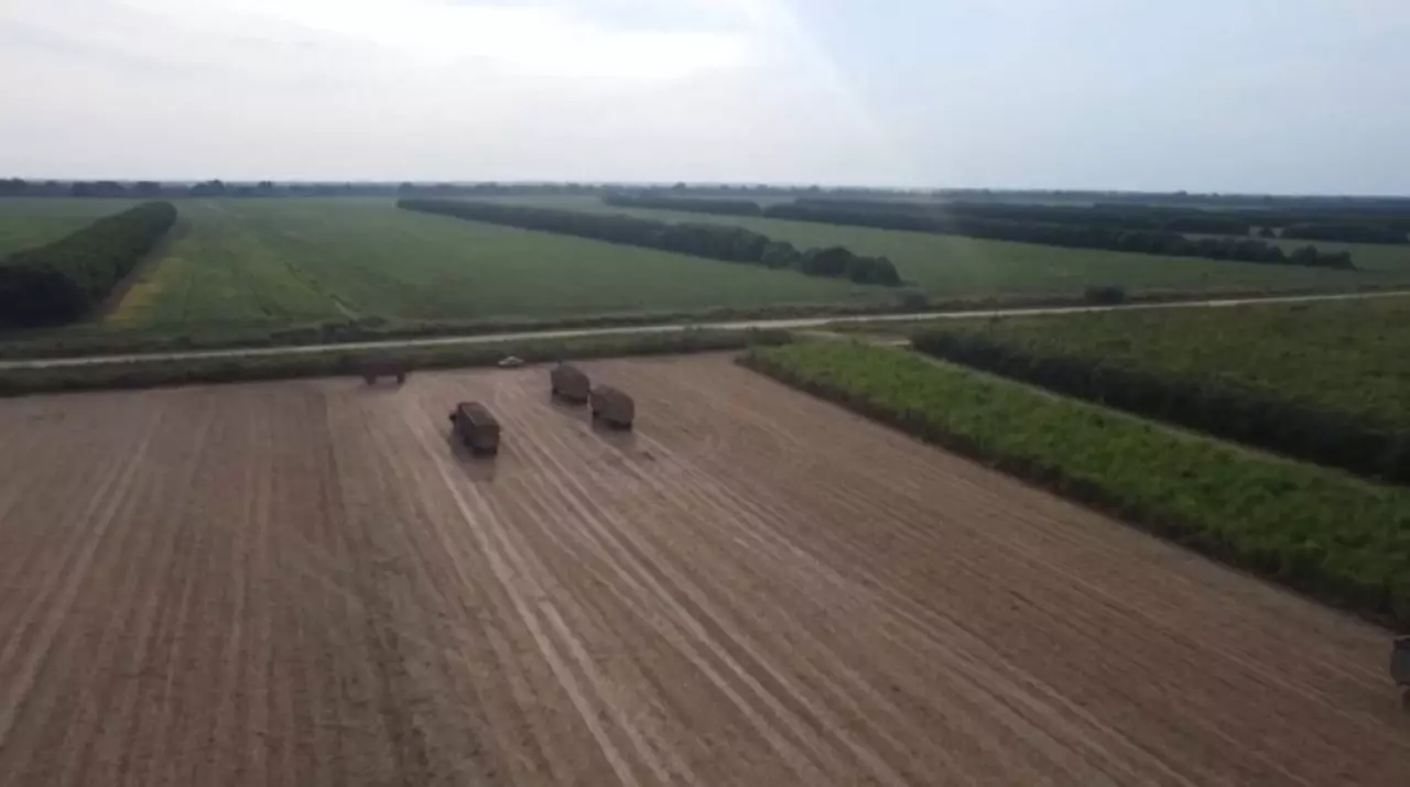 Боливия жиын-терімге кіріспеді