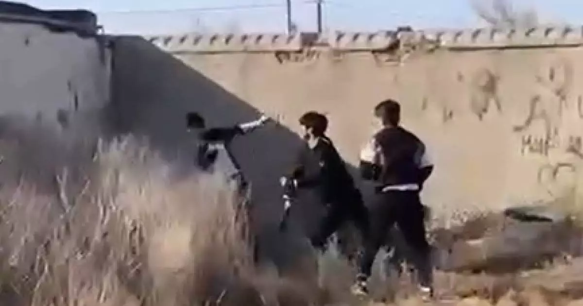  Атырауда колледж студенттерінің төбелескен видеосы тарады 