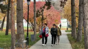 Елімізде 1 қарашадан бастап не өзгереді?