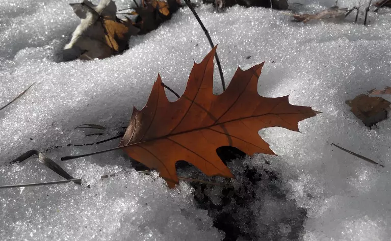 Дожди со снегом ожидаются в ближайшие три дня в Казахстане