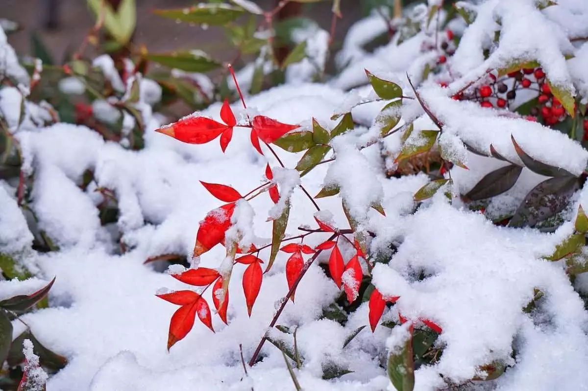 Циклон принесет в Казахстан дожди, снег и похолодание