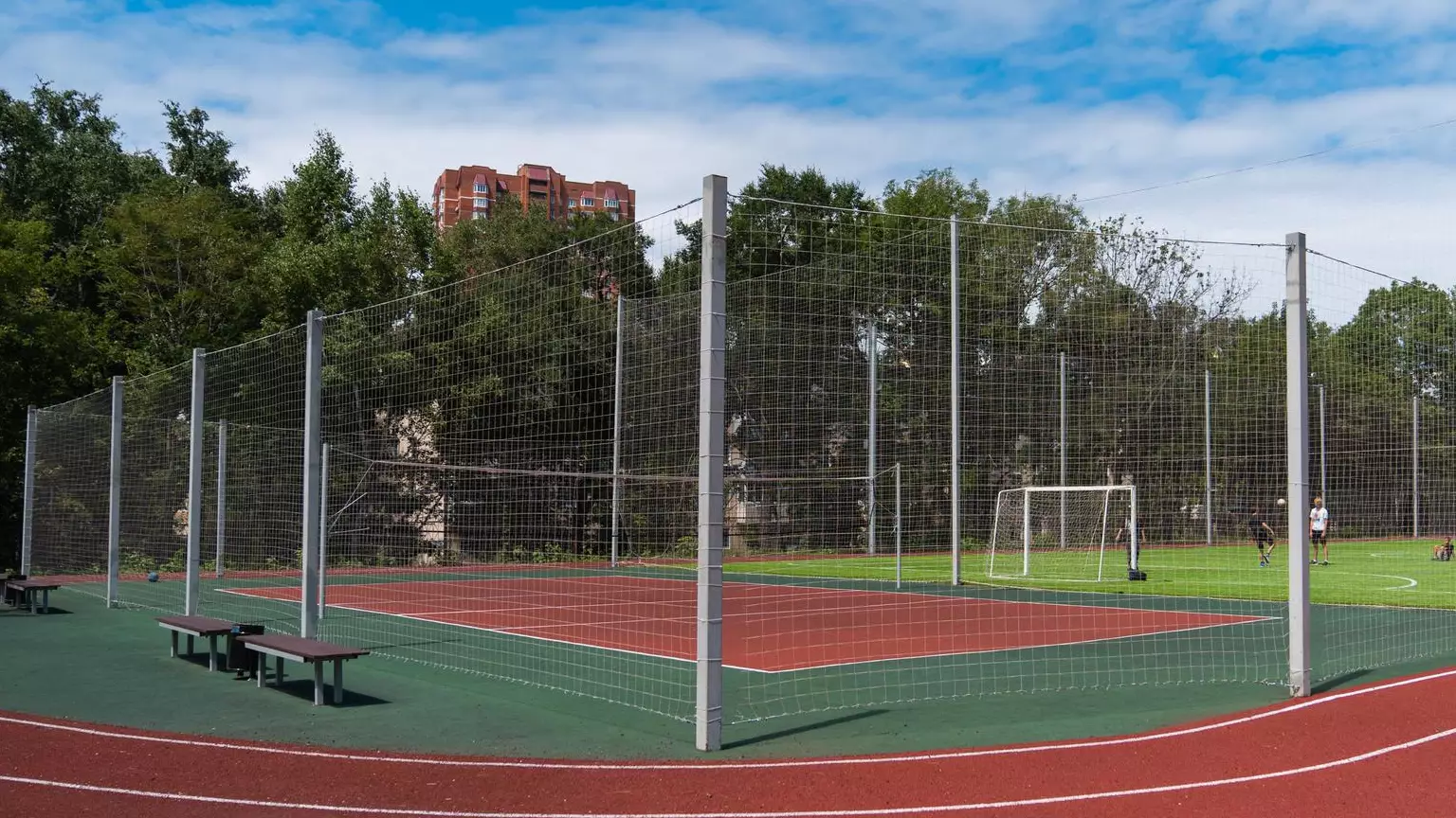 “Стадионнан секіріп түсемін деп… Ағашқа ілініп қалған” - Шардарадағы оқушы қазасы туралы тың ақпарат белгілі болды