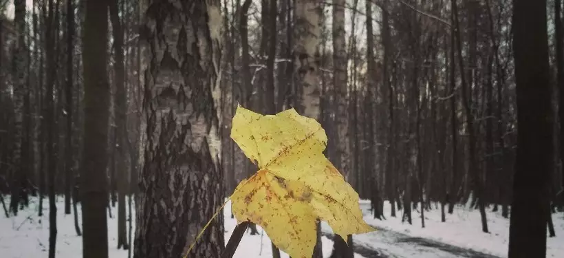 До 13 мороза: похолодание и снег надвигаются на Казахстан