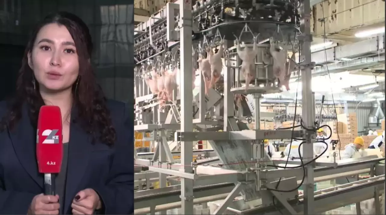 Елде құс еті өндірісі артты