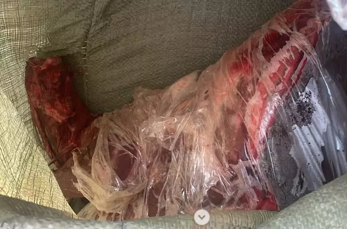 Подозреваемого в незаконной охоте на сайгаков задержали в Карагандинской области