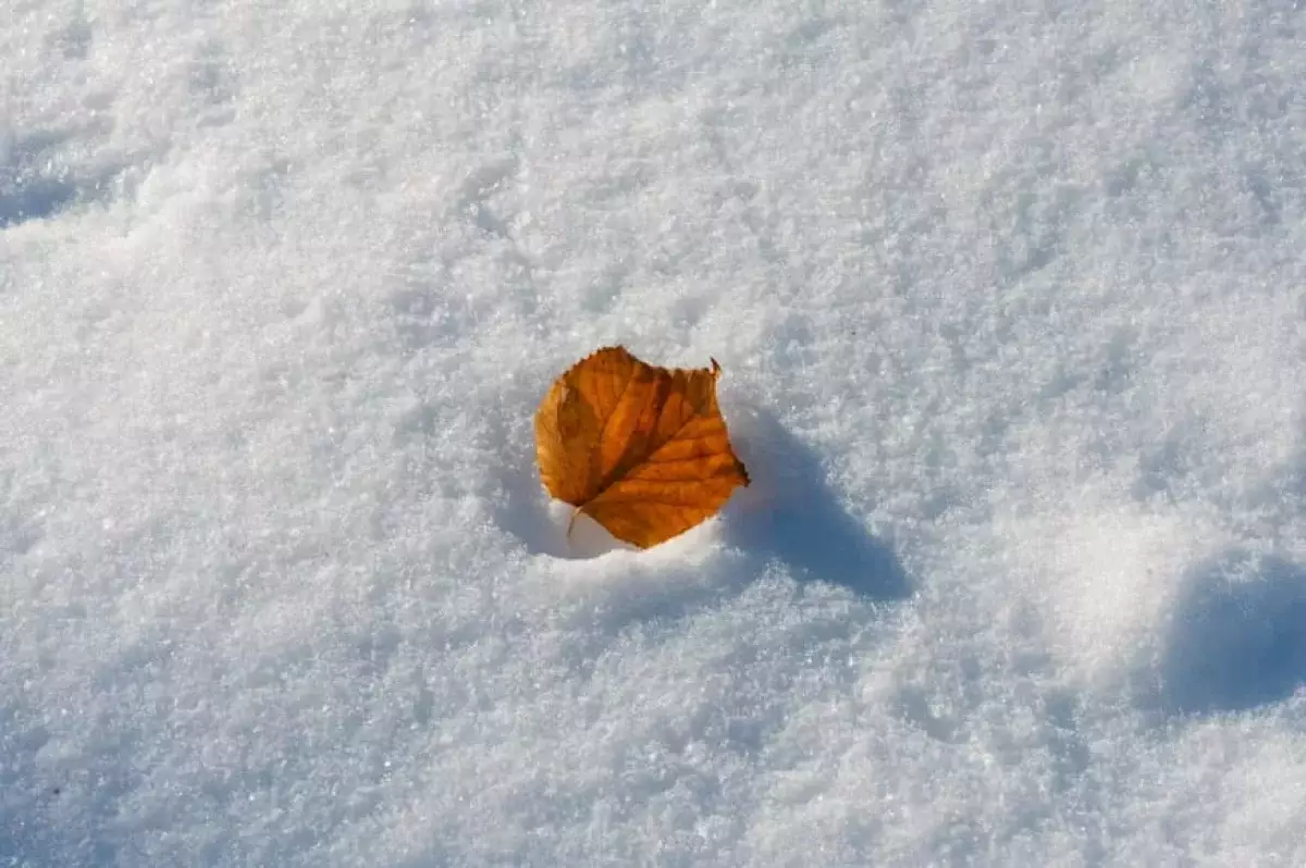 Зима спешит: в Казахстане с 4 ноября ожидаются снег, метель и морозы до –13