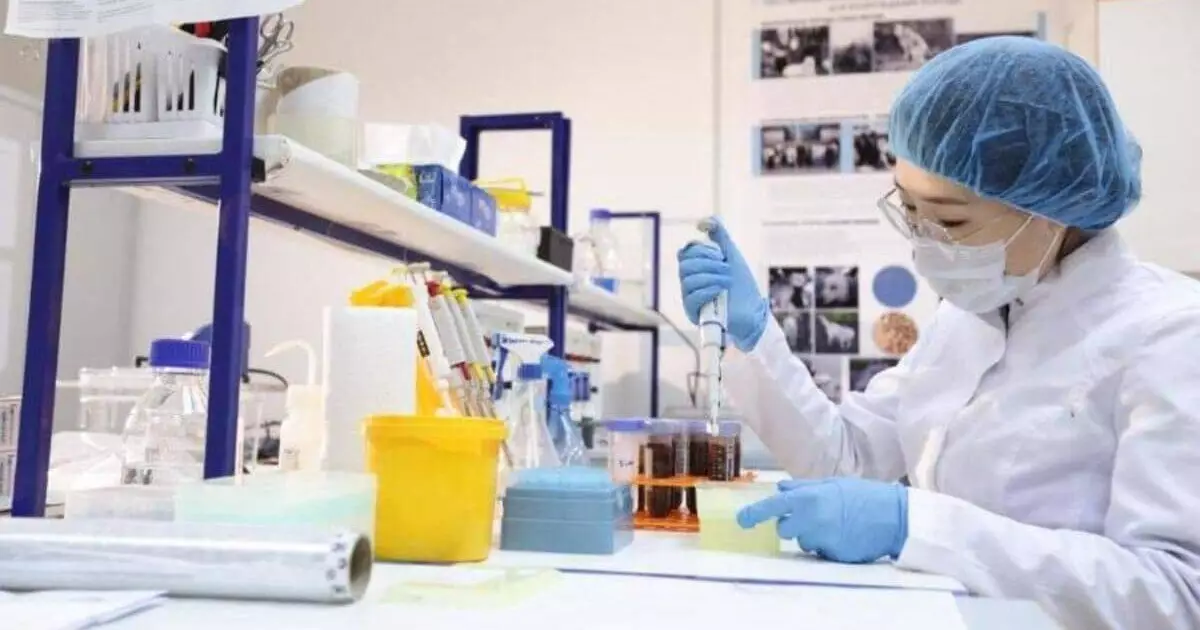  Зерттеуден нарыққа дейін 