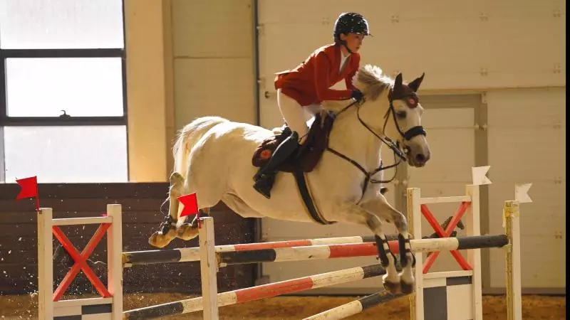 Астанада конкурдан Қазақстан чемпионатына 40-тан астам шабандоз бас қосты