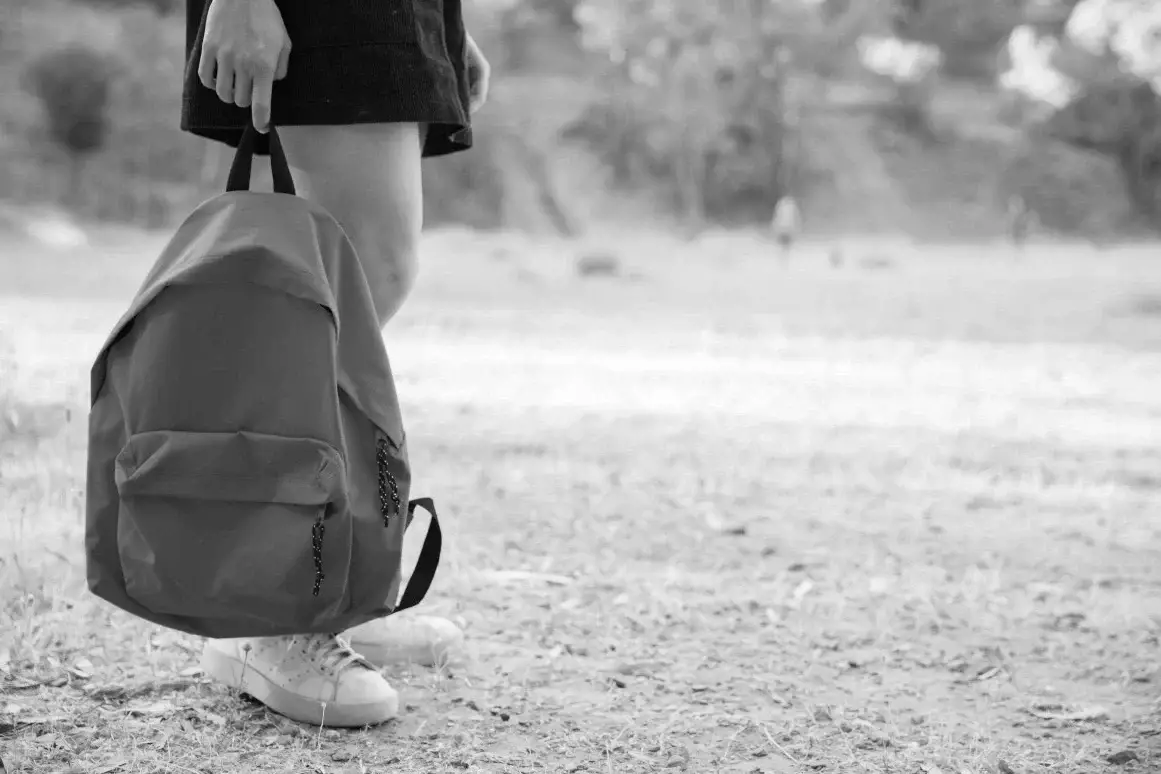 Алматы облысында 12 жастағы оқушыны зорлады деген күдікпен 17 жастағы жігіт ұсталды