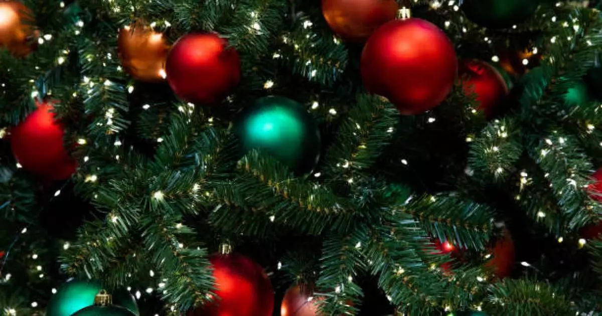  Қазақстандықтар Жаңа жылда неше күн демалады? 