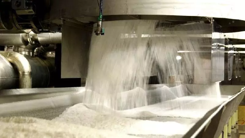 Қазақстанда ең ірі қант зауыты салынады