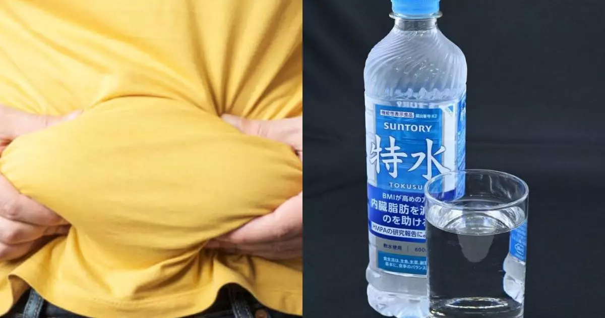  `Сырадан үлкейіп кеткен қарынды кетіреді`: Жапонияда Токусуй атты жаңа су шығарылды 