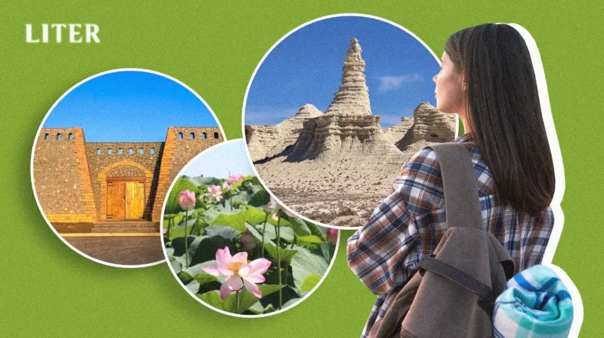 Розовые лотосы и белые скалы: куда поехать в Атырауской области