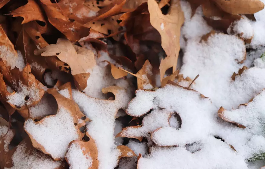 Штормовые предупреждения на субботу объявлены в 14 областях Казахстана