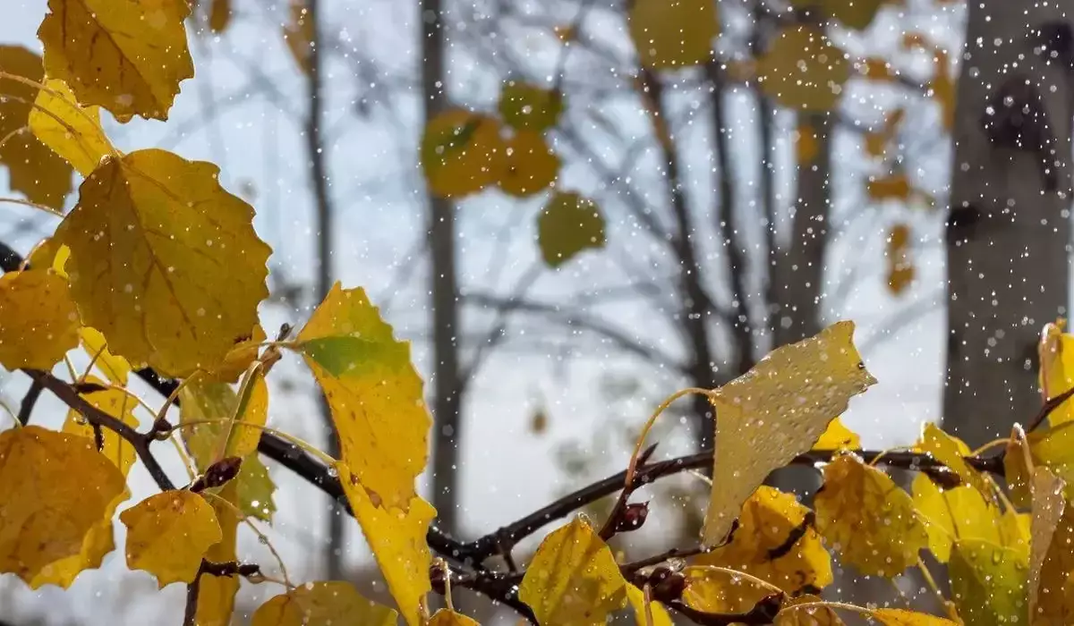 Еліміздің бірнеше өңірінде дабылды ескерту жарияланды