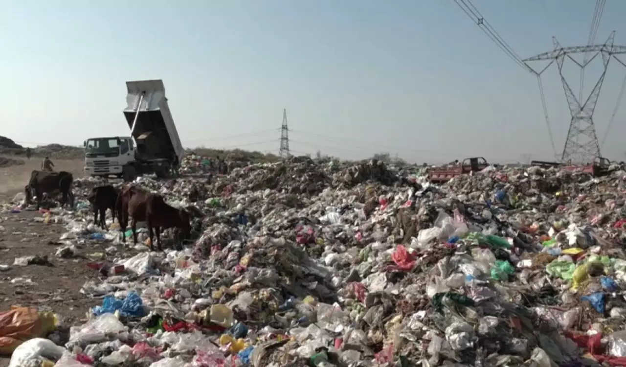 Пәкістанда қоқыс мәселесі өзекті болып тұр