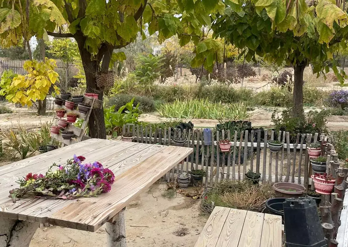 Лаборатия под открытым небом: 80% озеленения Актау создается в Ботаническом саду - новости на Lada.kz 31.10.2025