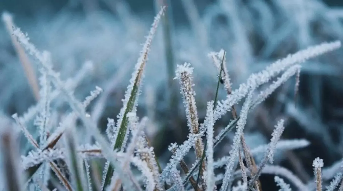 Қалың киіміңіз дайын ба - синоптиктердің болжамы