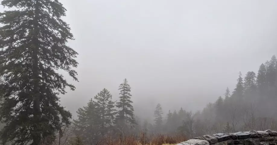 Казгидромет сообщил о заморозках, тумане и штормовом ветре в регионах Казахстана.