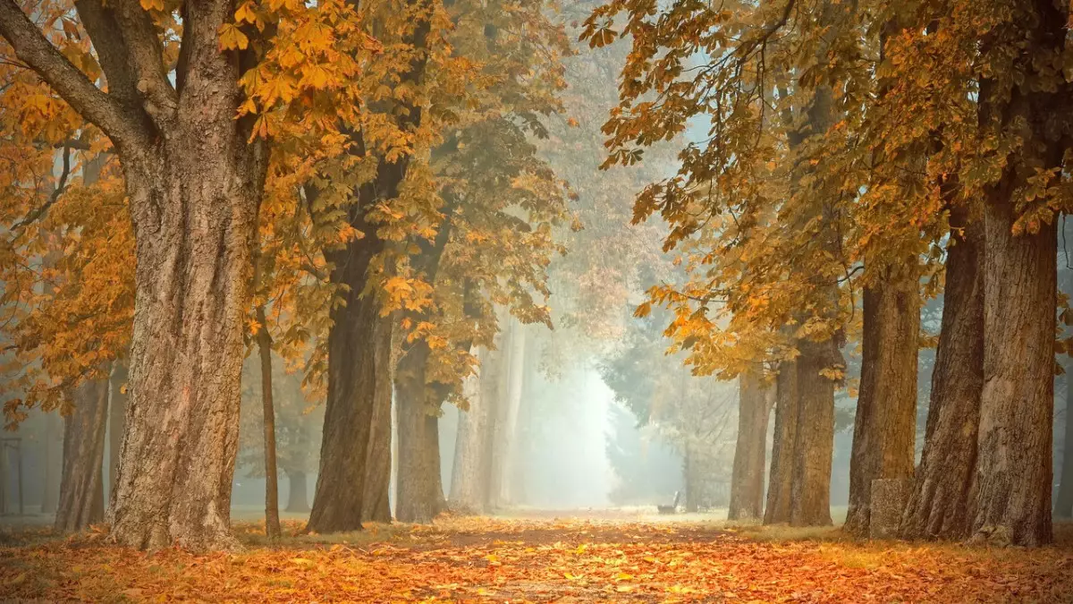 Қатты жел, көктайғақ: 14 облыста дауылды ескерту жарияланды