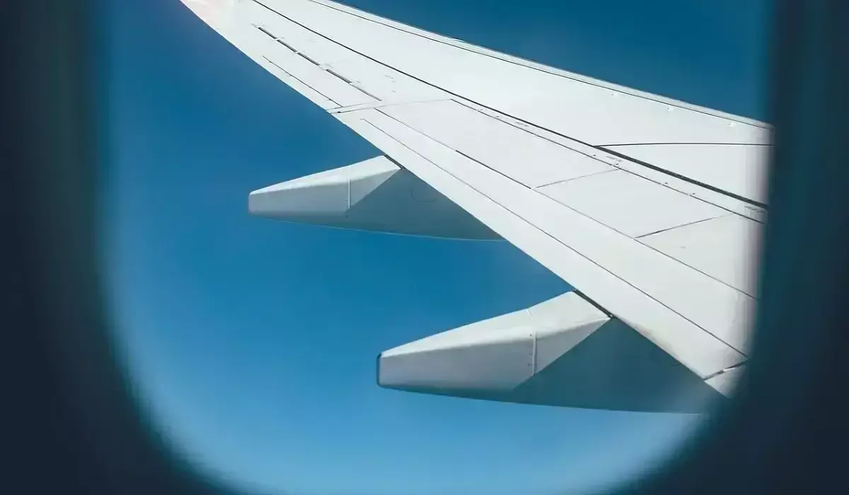 Алматыға бара жатқан екі жолаушы балағат сөз айтқаны үшін ұшақтан түсірілді