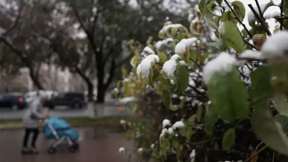 Жел, жаңбыр мен қар: 1 қарашада ауа райы қандай болады?