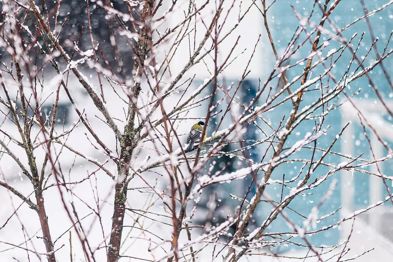 Дождь со снегом ожидается в субботу в ряде регионов Казахстана