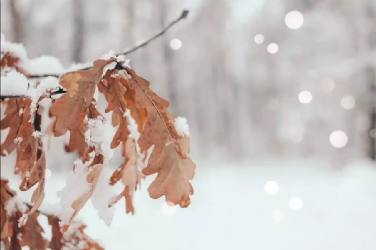 Сильные осадки и гололед прогнозируют в Казахстане