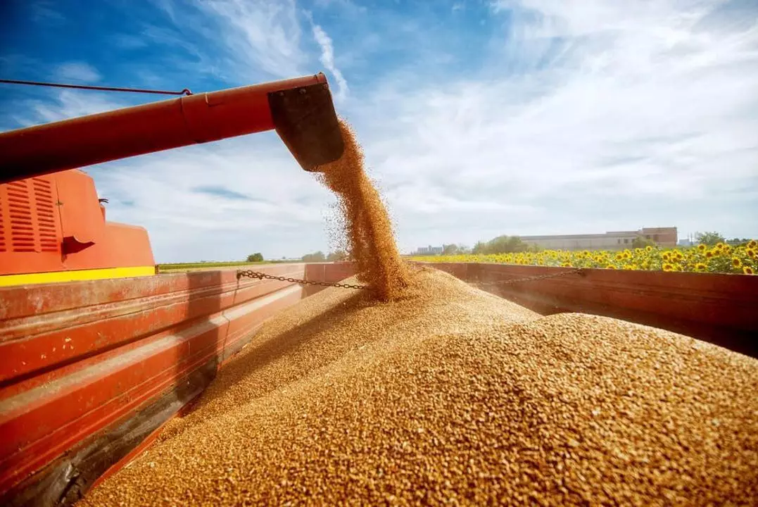 Швейцарская компания инвестирует более $700 млн в агропромышленный комплекс Казахстана