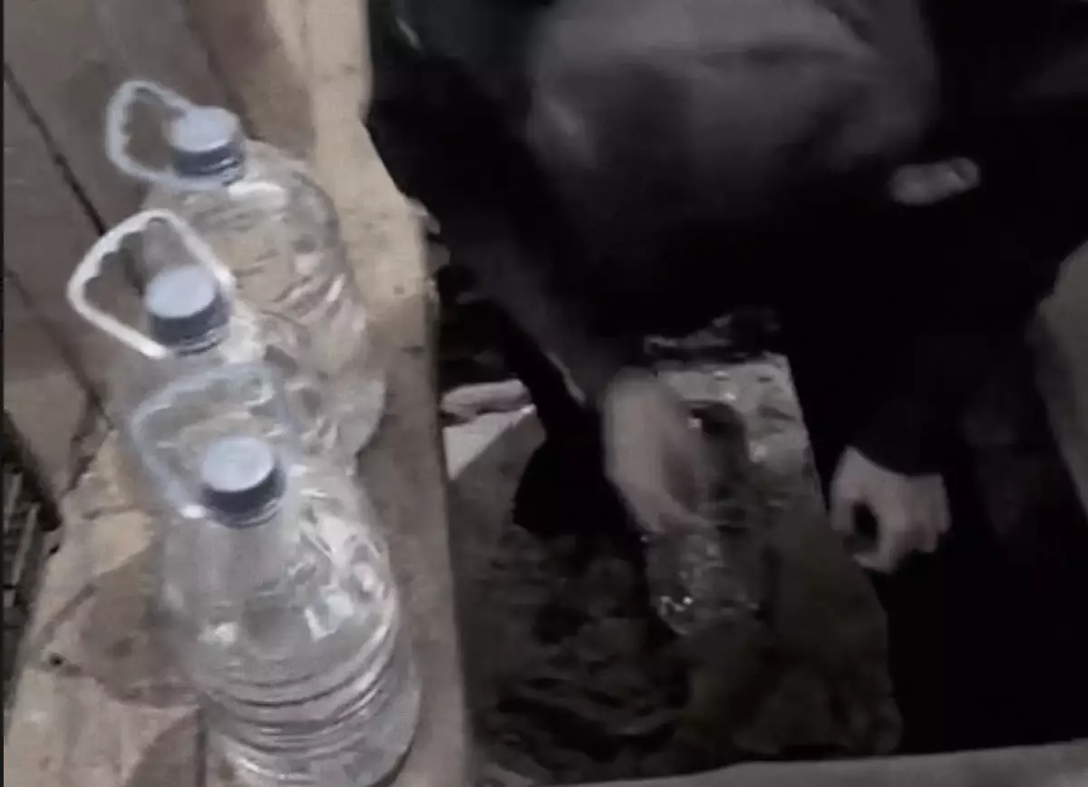 Қарағандыда «Дала Қырандары» заңсыз алкоголь саудасына қарсы рейд өткізді