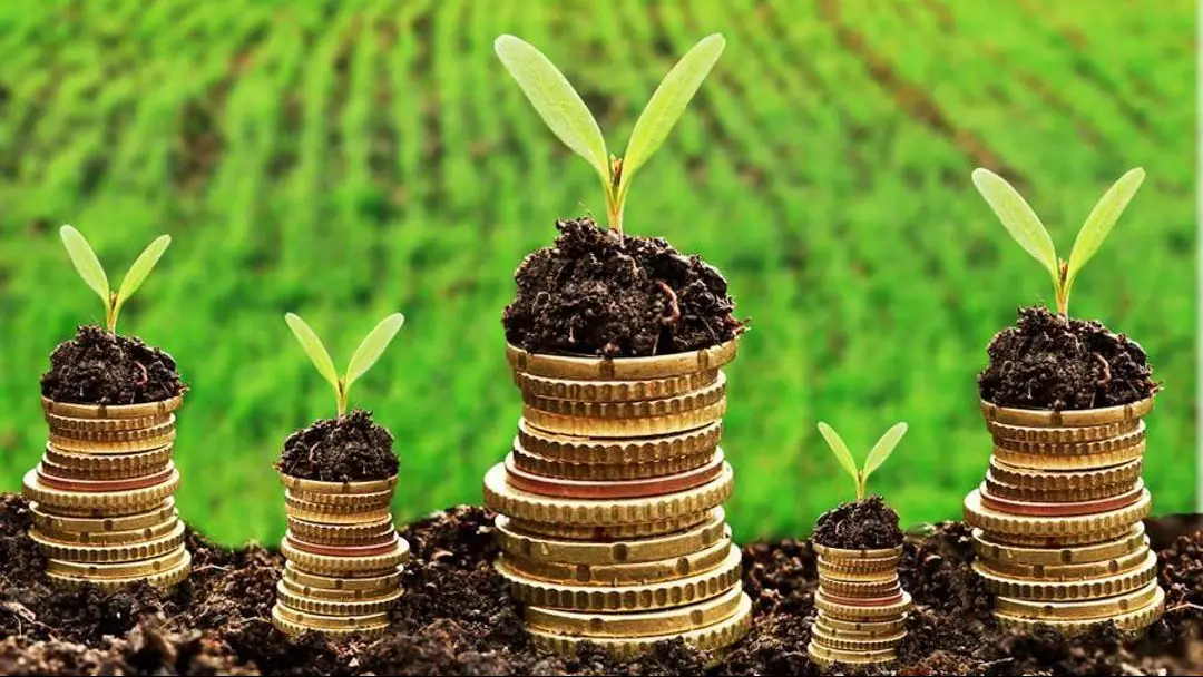 АШМ: Қазақстанда субсидиялар бойынша берешек кезең-кезеңмен өтелуде