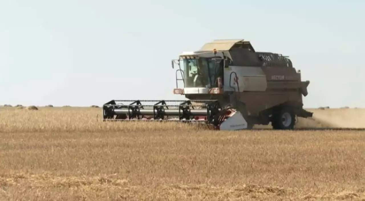 Более 700 миллионов долларов инвестируют в АПК Казахстана