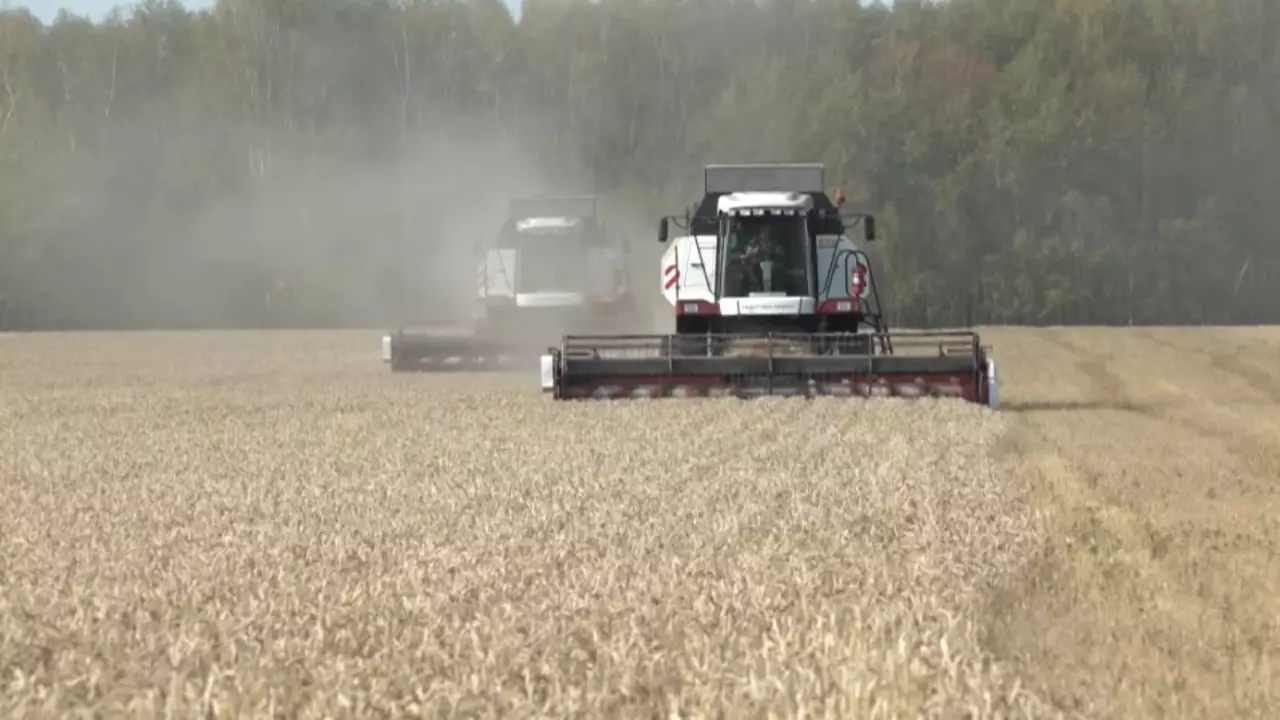 Шетелдік компания Қазақстандағы агросалаға $700 млн инвестиция салуға ниетті 