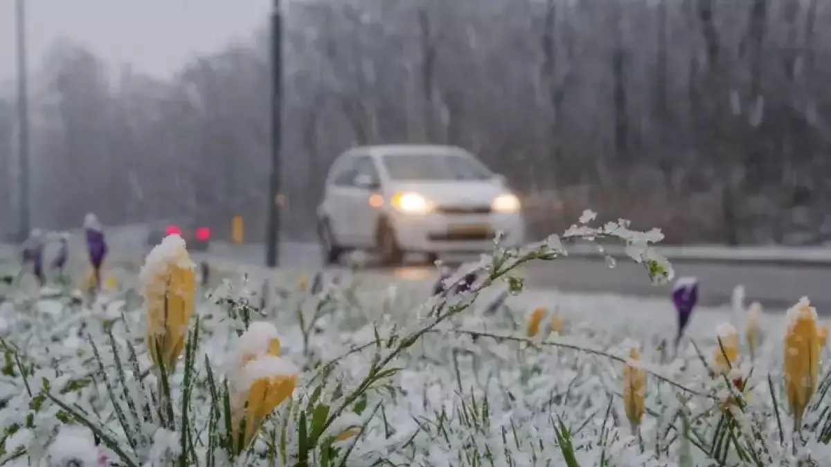 Жаңбыр және көктайғақ: 2 қараша күніне арналған ауа райы болжамы жарияланды