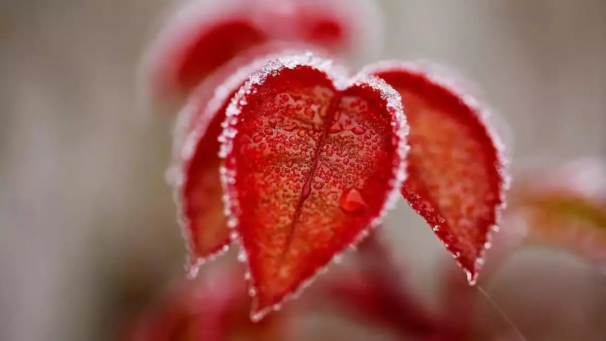 Cиноптики предупредили казахстанцев: 2 ноября будет шторм и гололед