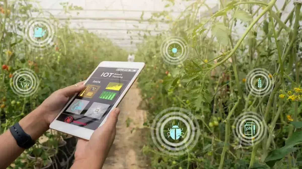 Новый инвестпроект: Китай построит агрохаб будущего в Казахстане