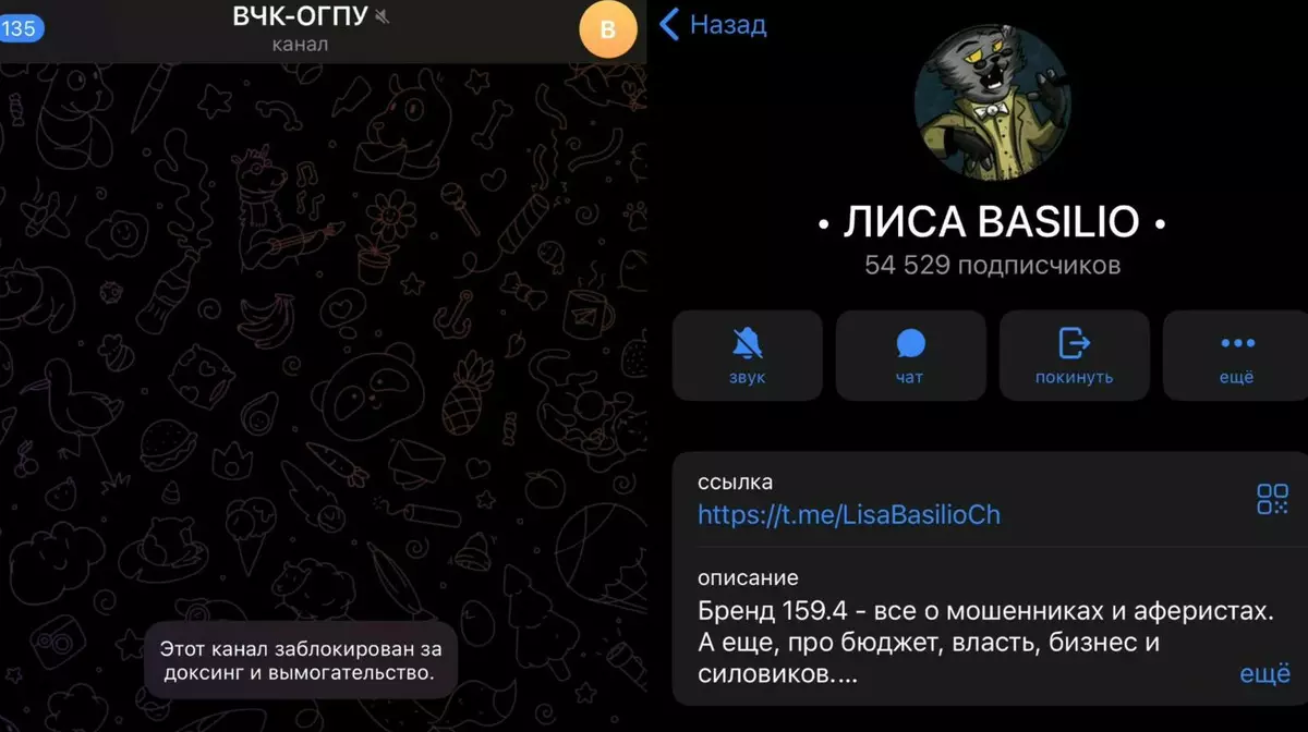 Автор популярного телеграм-канала с инсайдами из МВД задержан в Петербурге