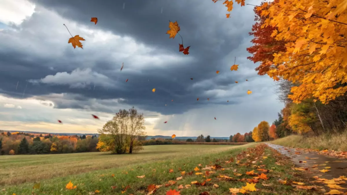 2 қарашаға арналған ауа райы болжамы