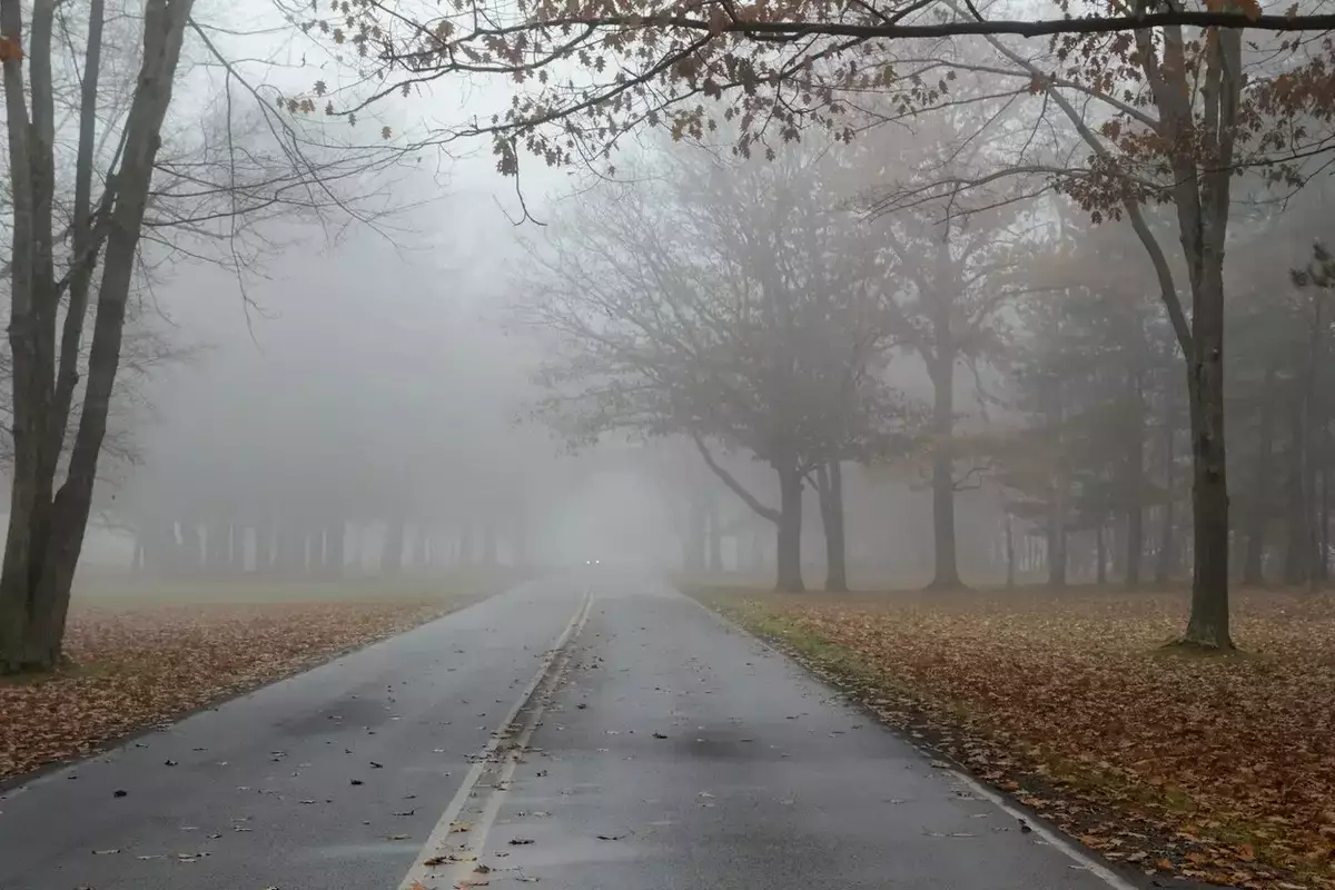 Қазақстанның 14 өңірінде дауылды ескерту жарияланды