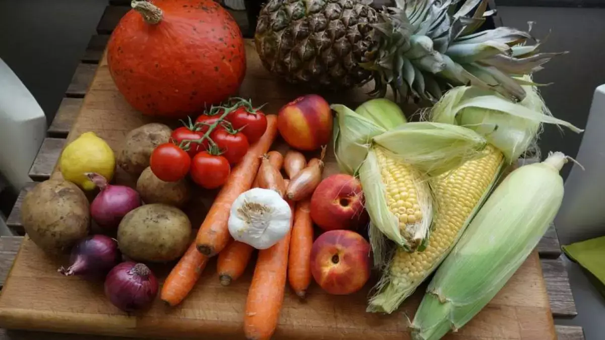 Задолженность государства перед сельхозпроизводителями превысила 300 млрд тенге - новости на Lada.kz 01.11.2025