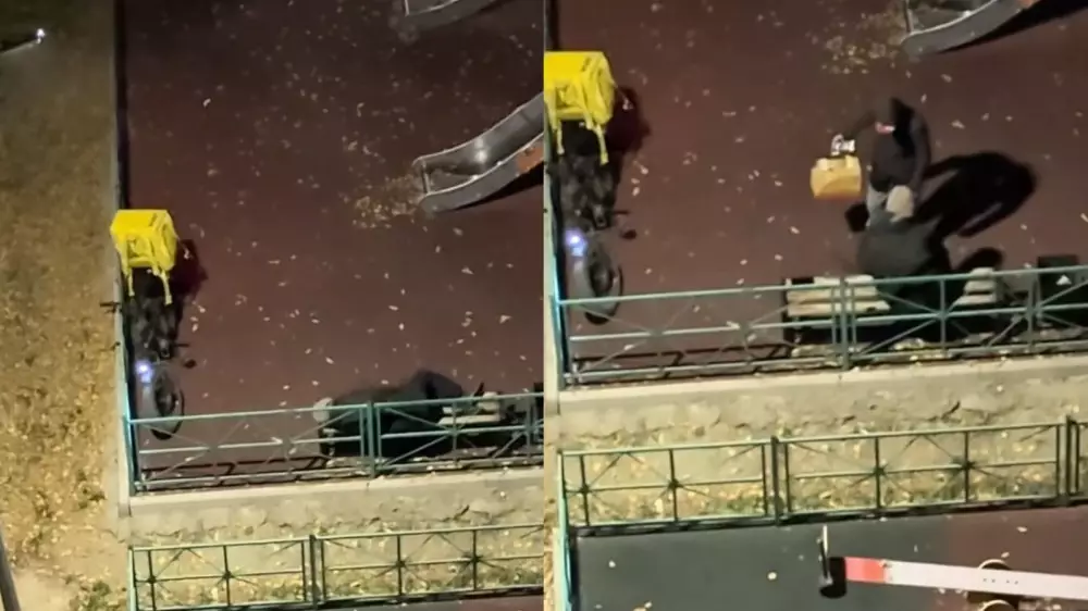 История о спящем курьере в Алматы растопила сердца казахстанцев