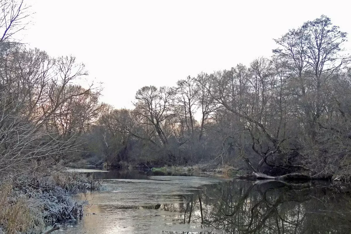 Гололед и туман: штормовое предупреждение объявили в Казахстане на 2 ноября