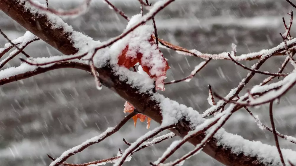 Казахстан накроют снег и метели: прогноз погоды со 2 по 5 ноября