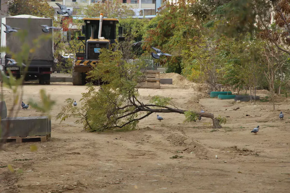 «Парковка или деревья» — спор из-за автостоянки разразился в Актау - новости на Lada.kz 01.11.2025