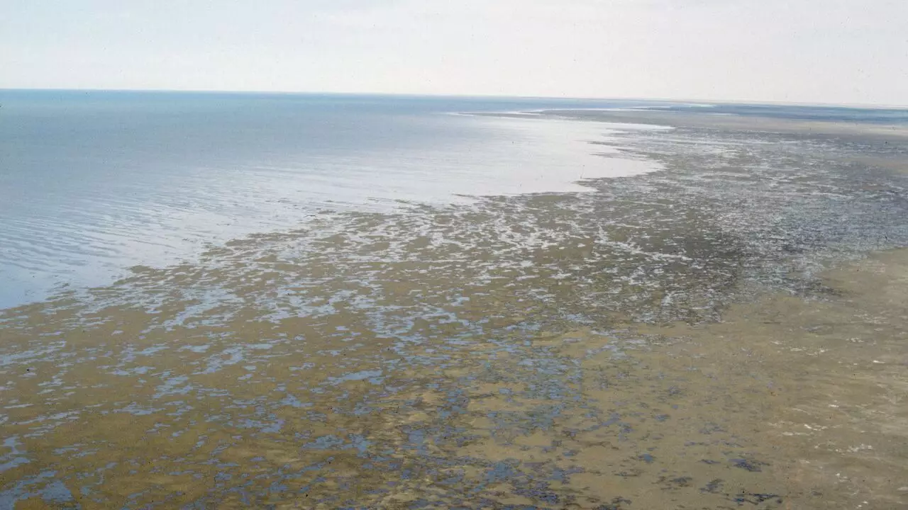 Казахстан в одиночку спас свою часть Аральского моря: вместо пустыни вновь вода и рыба.