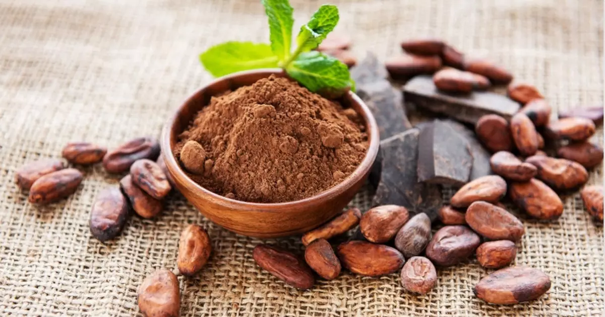   Теледидар алдындағы әрбір екі сағат семіздік қаупін тудырады   