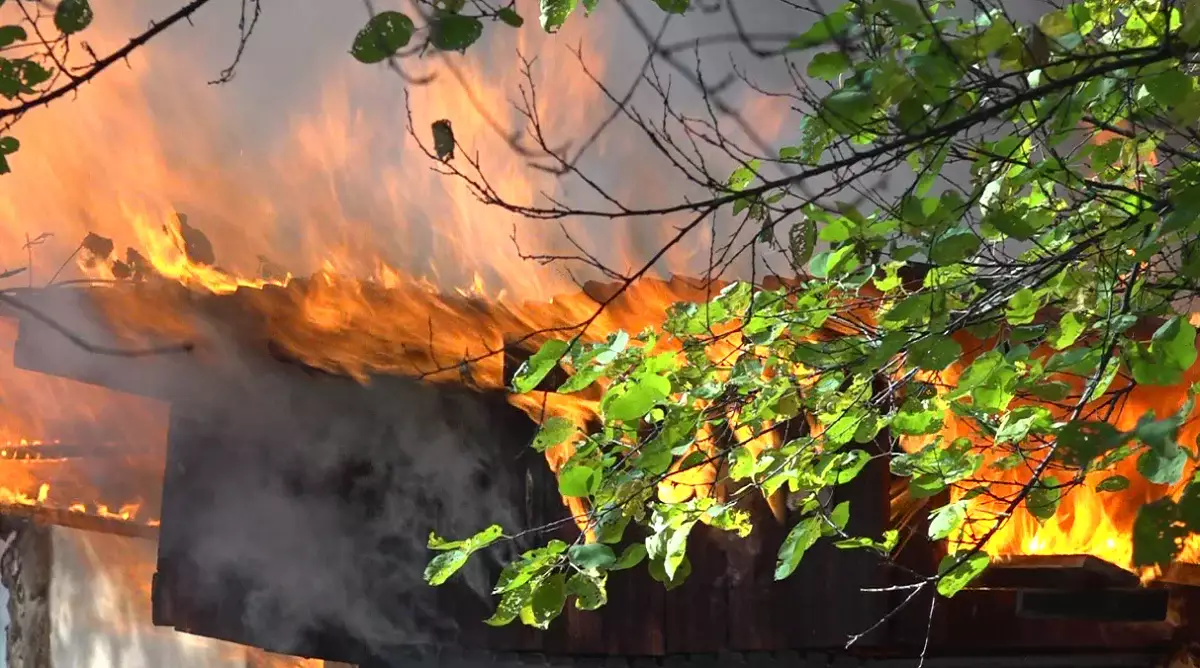 Мексикада дүкеннен өрт шығып, 22 адам қаза тапты