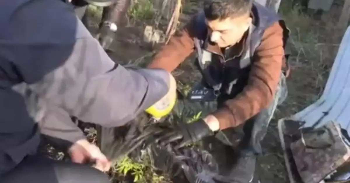 Ашық көк жүктілік сынағы теріс фотосурет