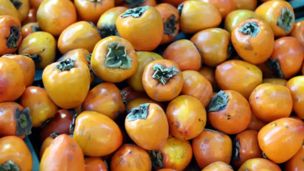 Когда хурма вредит: советы нутрициолога для людей с болезнями ЖКТ - новости на Lada.kz 02.11.2025